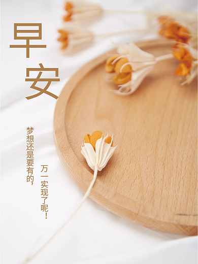 文艺小清新简约干花木盘早安海报心语日签