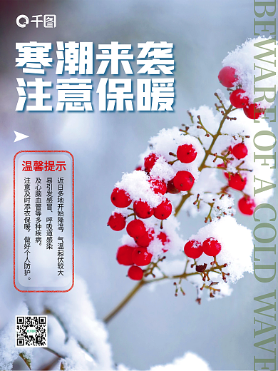 实景风寒潮冷空气来袭降温预警海报
