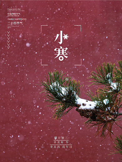 简约二十四节气小寒节日海报