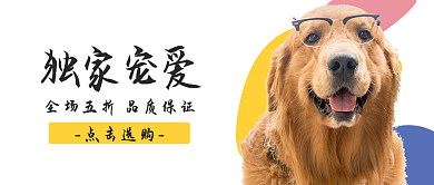 宠物用品简约文艺活动促销宣传