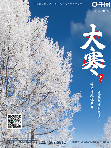 简约大气摄影图大寒节气二十四节气海报