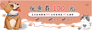简约宠物猫狗美容洗澡造型优惠券代金券