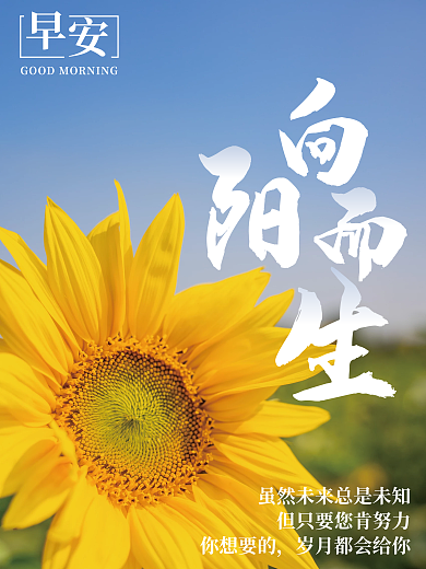 向日葵早安向阳而生