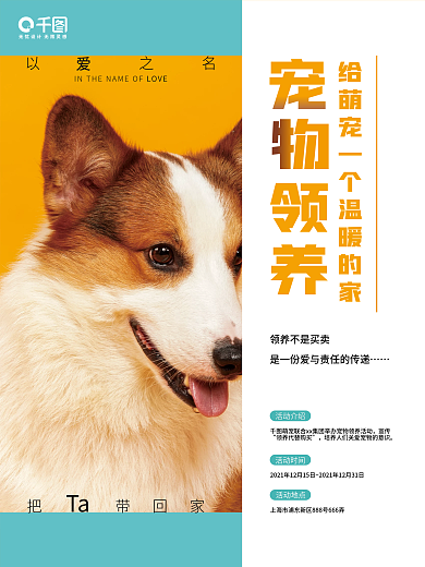 萌宠明快风格创意海报