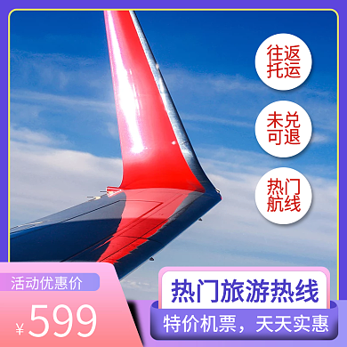 过年回家机票促销会员福利电商直通车