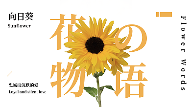 花之物语黄色向日葵