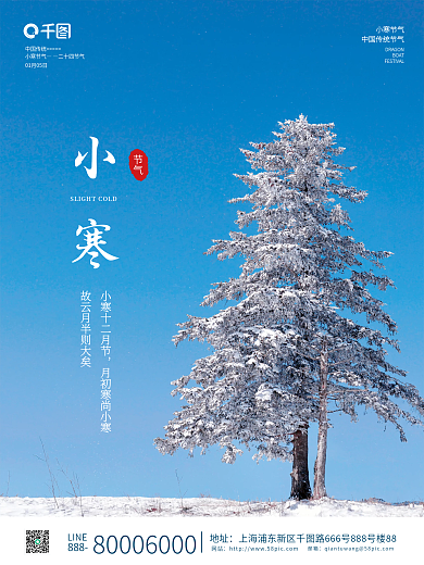 简约风小寒节气摄影图节日海报
