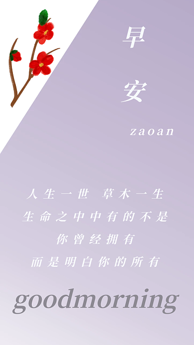 早安玫瑰经典语录