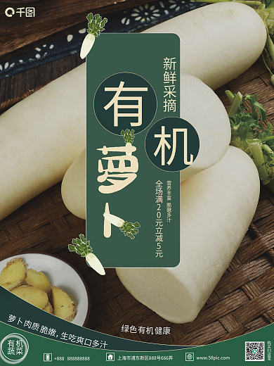 深绿新鲜萝卜宣传销售海报