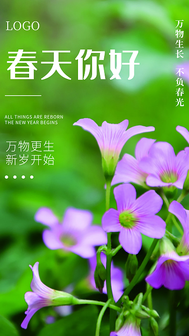 摄影图春天你好海报