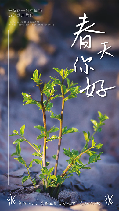 简约小清新春天你好海报