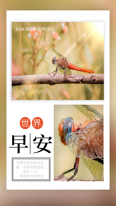 简约正能量励志自勉语录朋友圈早安世界海报