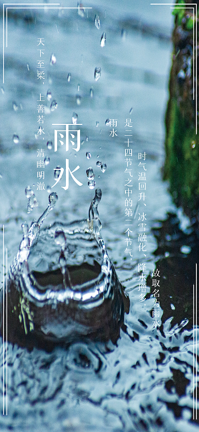雨水节气清新大自然水墨简约海报