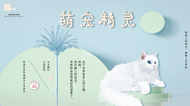 可爱宠物猫猫促销展板