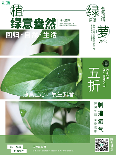 植物绿萝销售推广促销海报