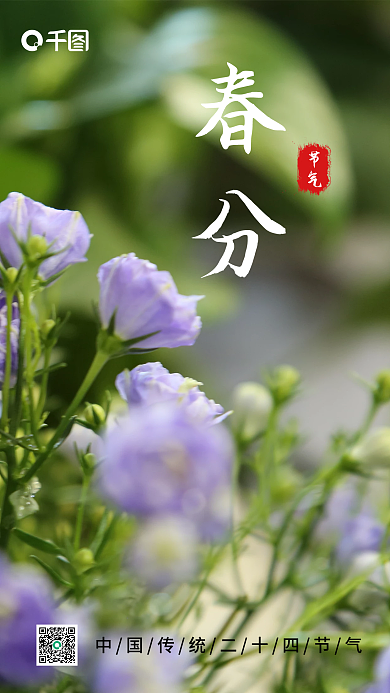 简约春分节气摄影图海报