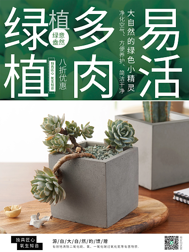 绿色绿植多肉销售宣传海报