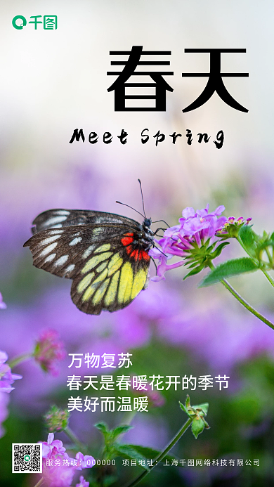 简约春天摄影图海报