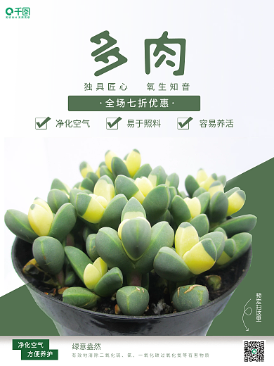 多肉植物销售海报