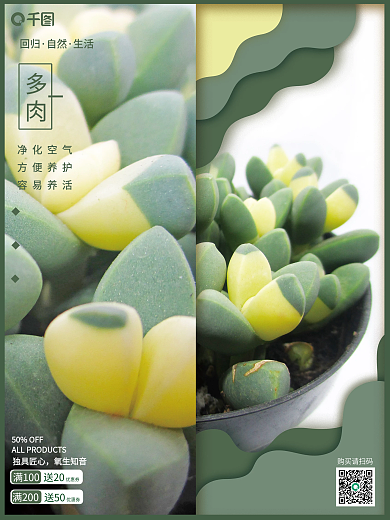 多肉植物销售宣传海报