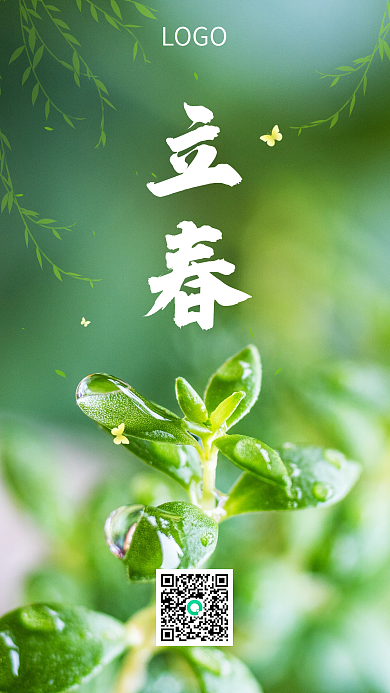 简约大气清新立春发芽手机海报
