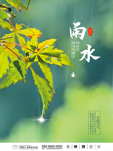 简约雨水惊蛰谷雨节气海报春天树叶下雨海报