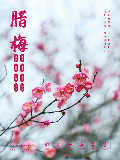 寒冬腊月咏梅平面海报