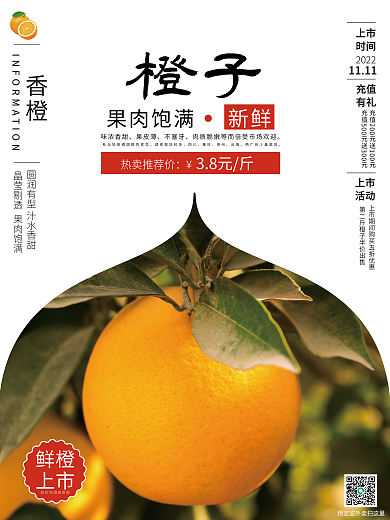 橙子白底销售海报
