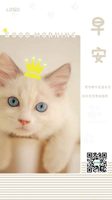 高贵典雅可爱宠物猫早安海报