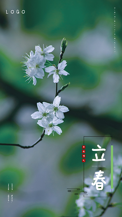 二十四节气之一立春海报