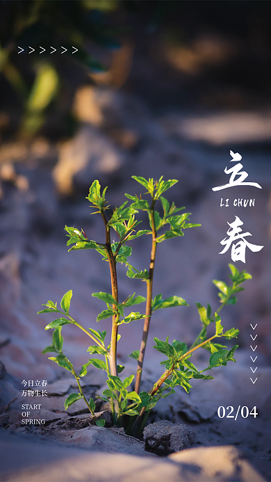 绿色植物立春海报