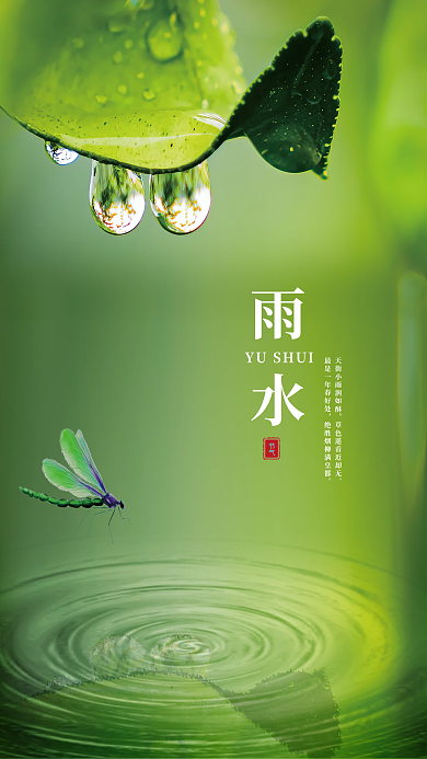 二十四节气绿色简约雨水节气摄影图手机海报