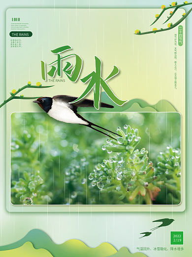 春天雨水节气绿色简约清新海报