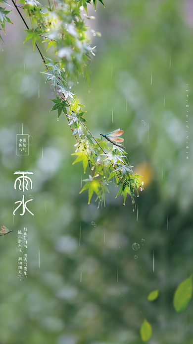 绿色简约风创意雨水节气海报