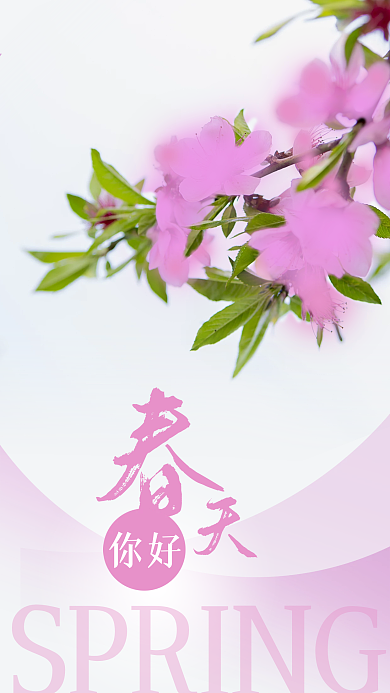 春天你好春季粉色桃花植物日签早安手机海报
