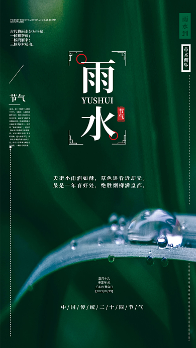 简约二十四传统节气雨水摄影图海报设计