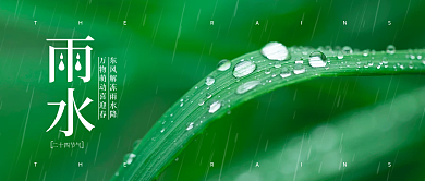 小清新简约大气24节气雨水微信公众号首图
