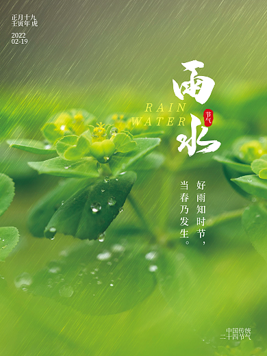 雨水二十四节气春天植物雨滴下雨海报