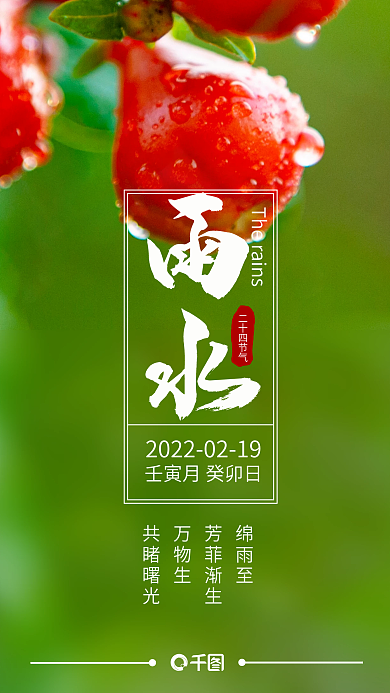 雨水节气海报绿色简约二十四节气手机海报