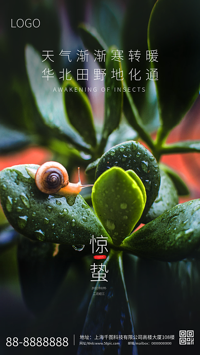 二十四节气春天雨水惊蛰手机海报
