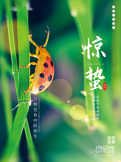 简约唯美小清新绿色自然春天惊蛰摄影图海报