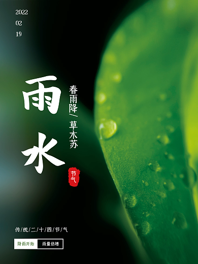 雨水二十四节气节日海报