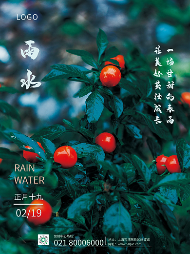 雨水海报24节气雨水创意雨水海报节日海报
