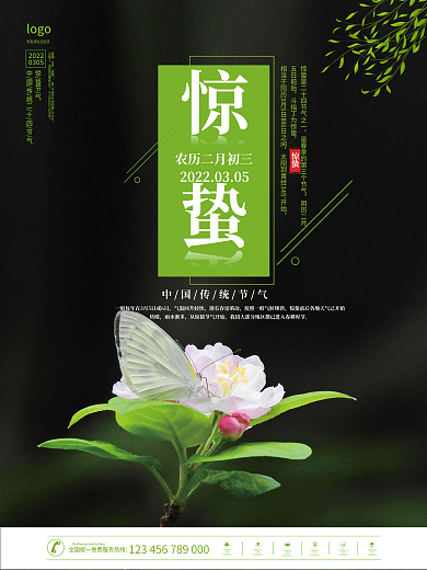 二十四节气传统节气惊蛰摄影海报设计