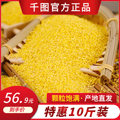 小黄米五谷杂粮主图直通车红色