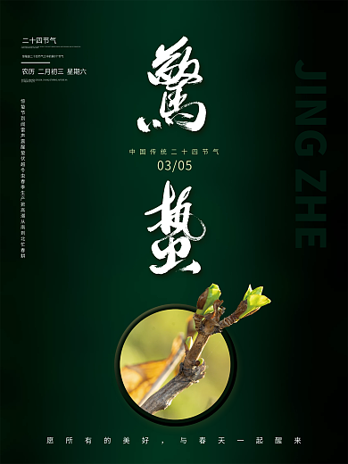 简约大气二十四节气惊蛰海报