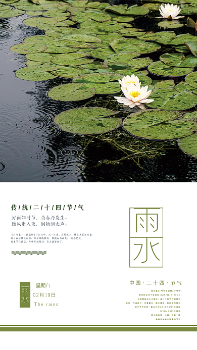 简约雨水节气摄影图海报