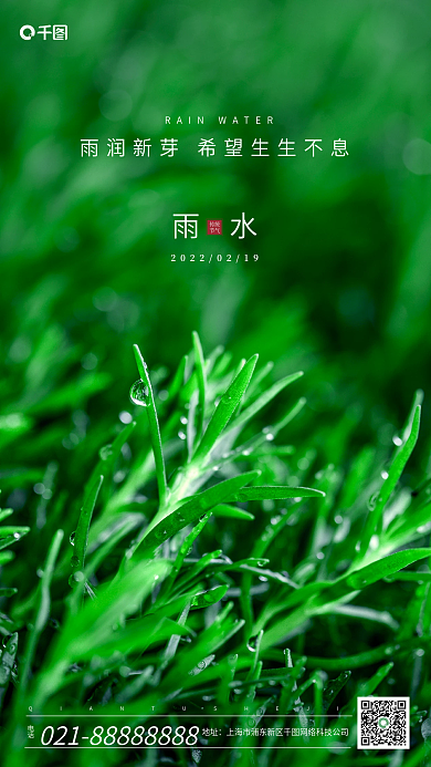 雨水传统节气手机海报