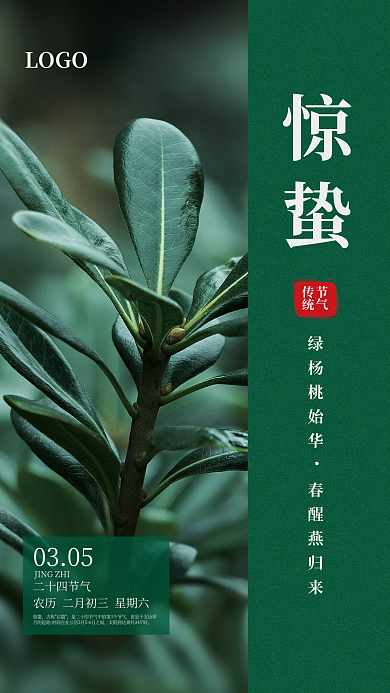 绿色惊蛰节气摄影图海报