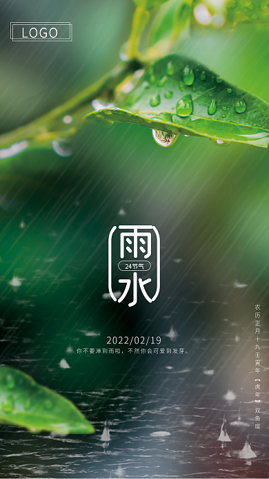雨水24节气雨季下雨绿植海报